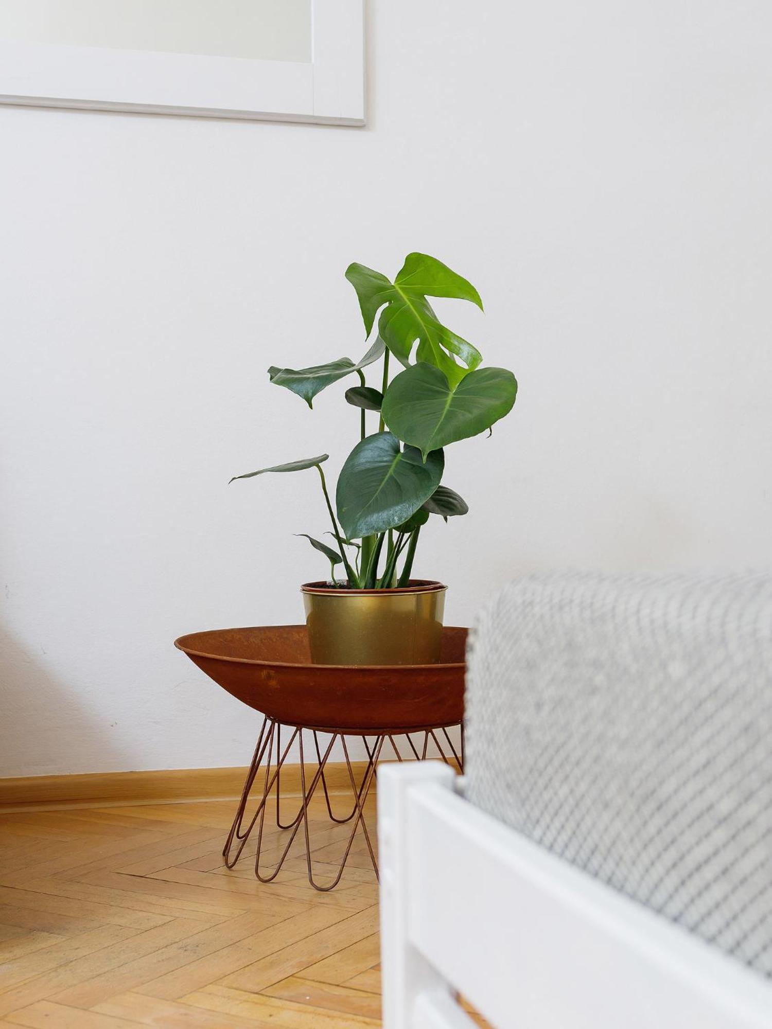 Two Bedroom - Starowislna 66 *